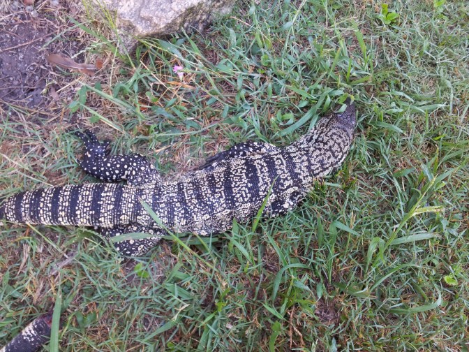 2015-02-28 09.02.40.jpg