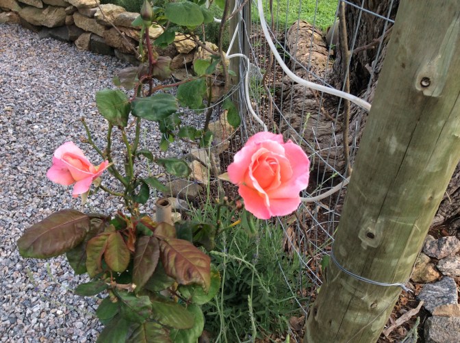 0A2F675F-F848-4666-8131-3A0F956D7CC3