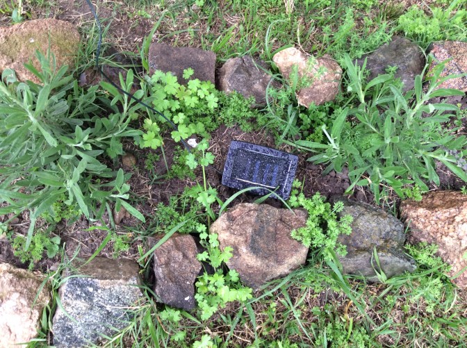 0EB9904D-44A4-4DE0-B05A-8DFED0E9528E