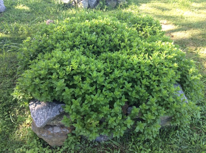 53313DB3-EB4E-45B7-BD6F-CC7752C92EB2