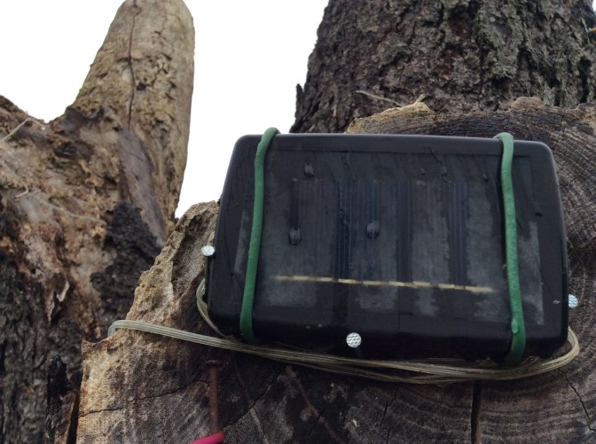 65B25E8B-06D0-4020-9D20-F7CA18DB4C2D