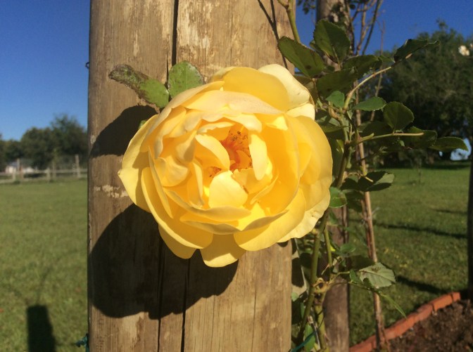 8A893261-3823-4676-BAD8-9C191CF6470D