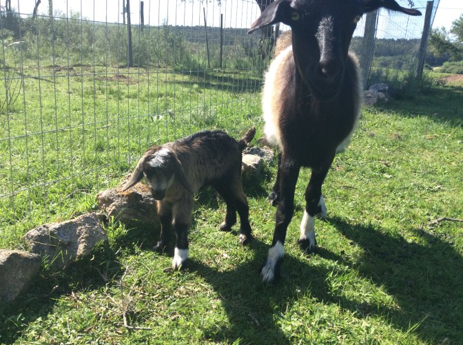 CF6594BA-8EEB-416D-81D8-E927C855F1A7