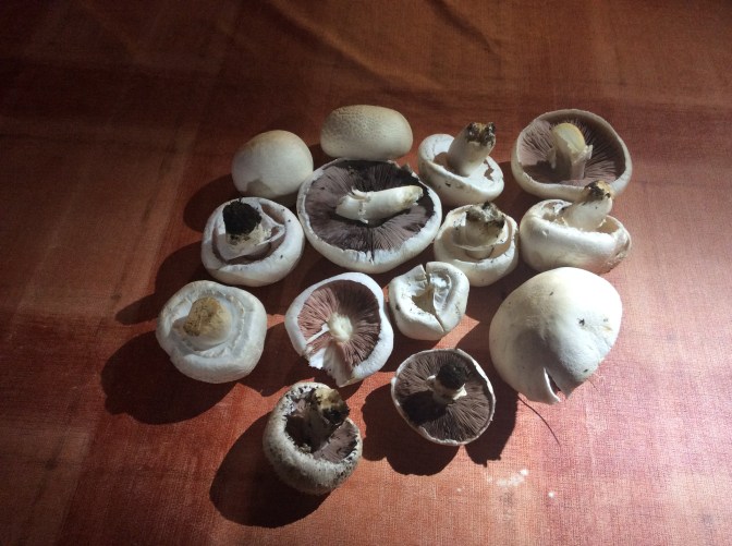 4893963B-F38B-4254-9F7C-0BA6C03ACFFA