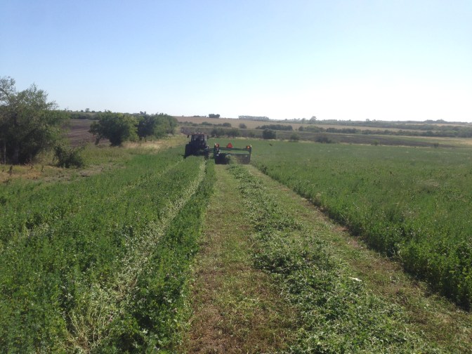 6C7C54CE-BDCE-4F53-B5FD-1C865DC42AB2