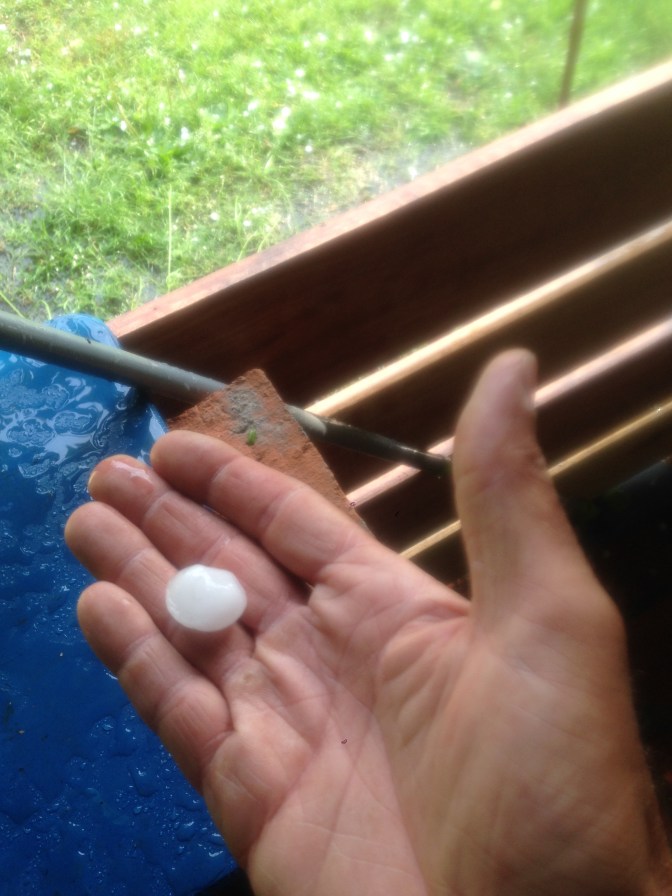 B5D50138-B577-4C68-9B98-1698203982BF