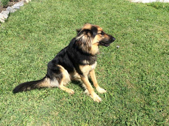 C879E640-55AA-45E8-B6E4-75EF05997B2E