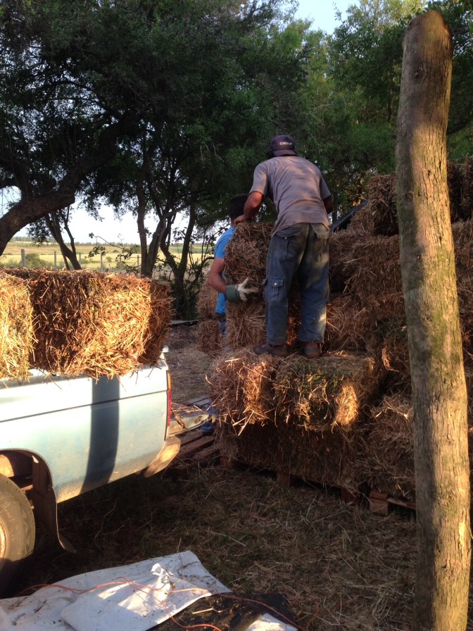 25F48790-DF00-4EF4-8568-78CDAB03041A