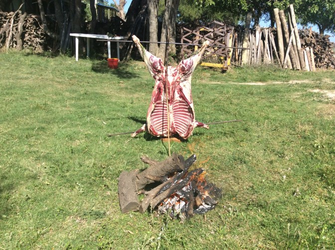 5B29E55C-3C37-40ED-9B7F-A13C11672037