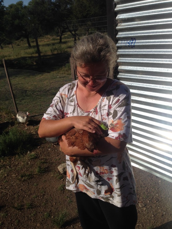 62DA6C11-D670-4406-98B3-AE012B4D4352