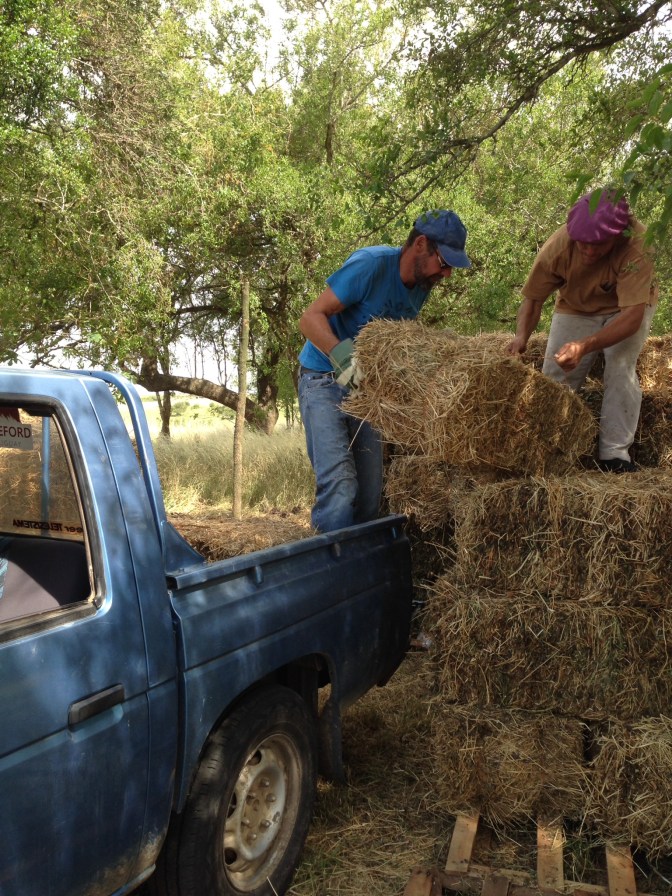 9A5C4272-9897-414F-902E-5A73117149B8