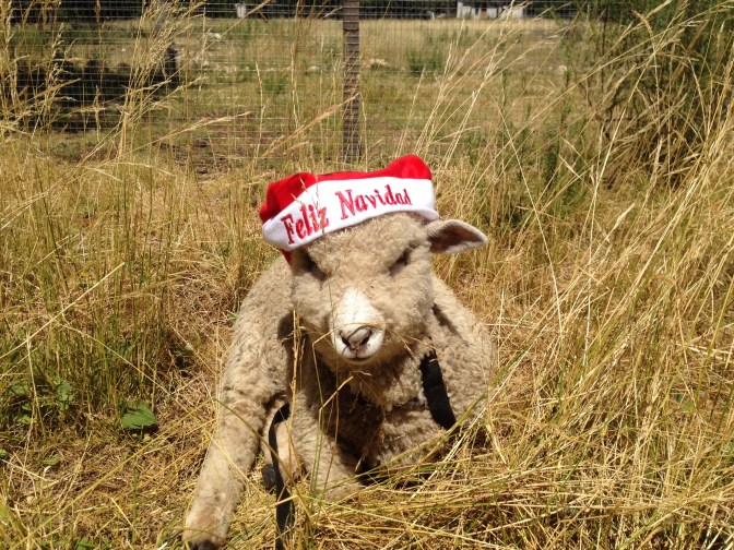 ABD8604A-A31D-4B27-B617-4E69EE2D86FB