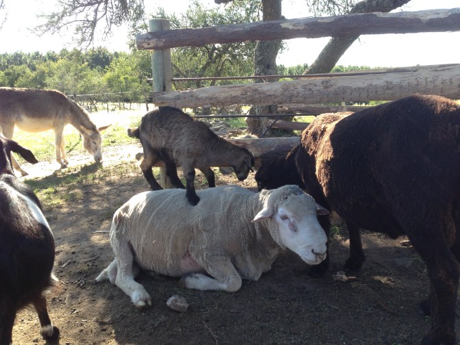 D85E47A7-3252-48ED-91E5-B98B31FF391B