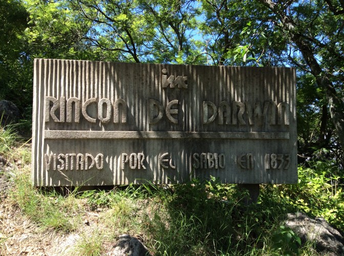 AB502157-F3B0-4883-ADA4-4D9DCBB389A9