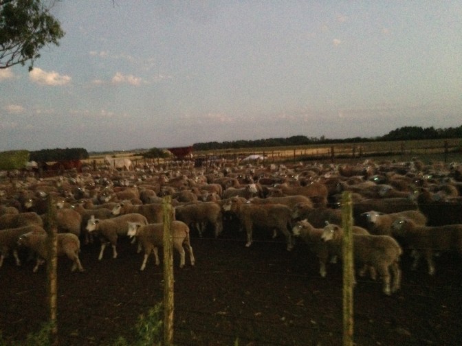 C46F624D-39B2-45E5-A47C-E71ED39BA822