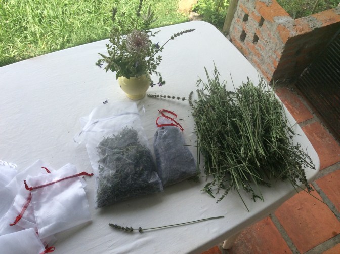 C5830E4A-BA32-4693-B09D-AC7BC5579150