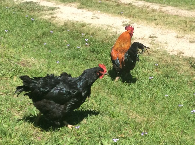 DF4F4402-EFF3-46DA-815A-85F207980976