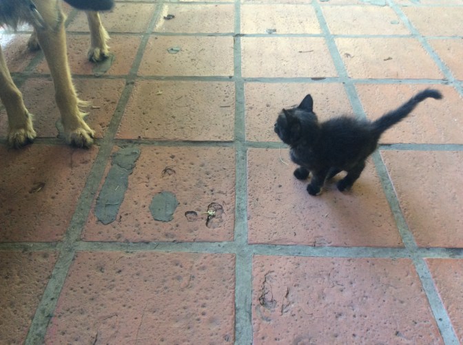 57B790A9-BAF7-4A4D-8548-C6A316F6FC61