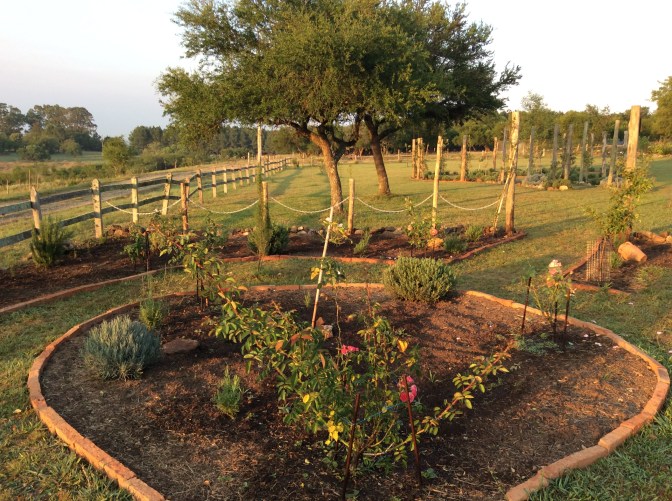 6F6D8DA6-BC34-4B91-B658-AF823FE00CBB