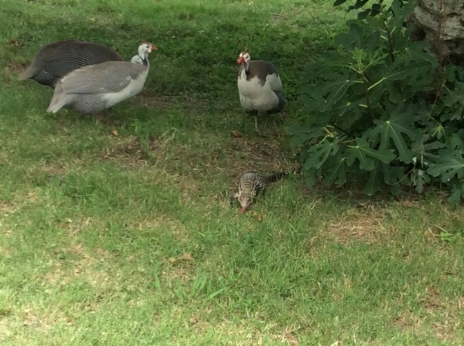 AA1B6D65-DFDC-4C07-A3A0-E42826D35C92