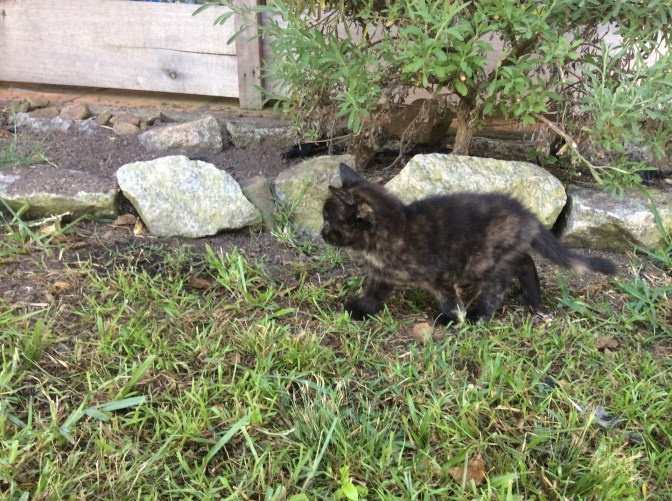 CD08F62D-283F-4E2B-8D24-5E35AE841EC3