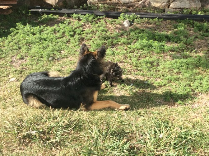 030228F4-1D5B-4365-9529-39B8D3FCD5BC