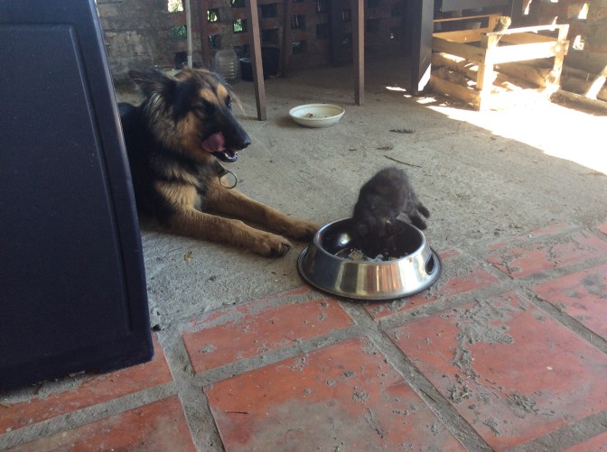 375D1CF9-DD92-44F6-A18C-234D7412C6C9