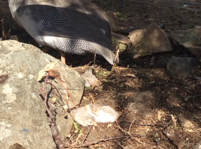 6BAAD044-C877-4226-876F-E1899C9C8F1D