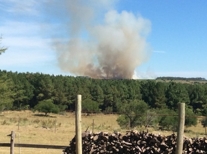 B74BF627-1379-4A06-AB8D-957A974773CF