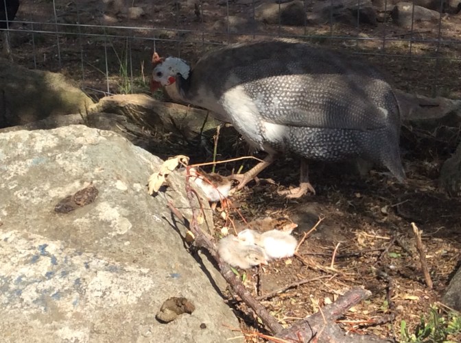 BA631C09-9A08-4A61-BF2B-E8032E6EE22D