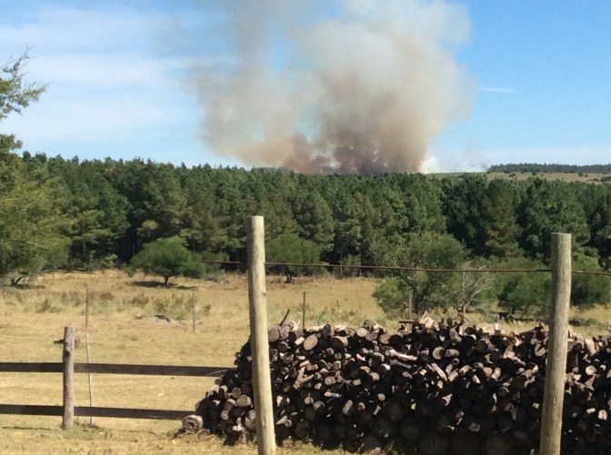 C8E839F6-FF9F-4413-AB7B-B4BAB15BF71C