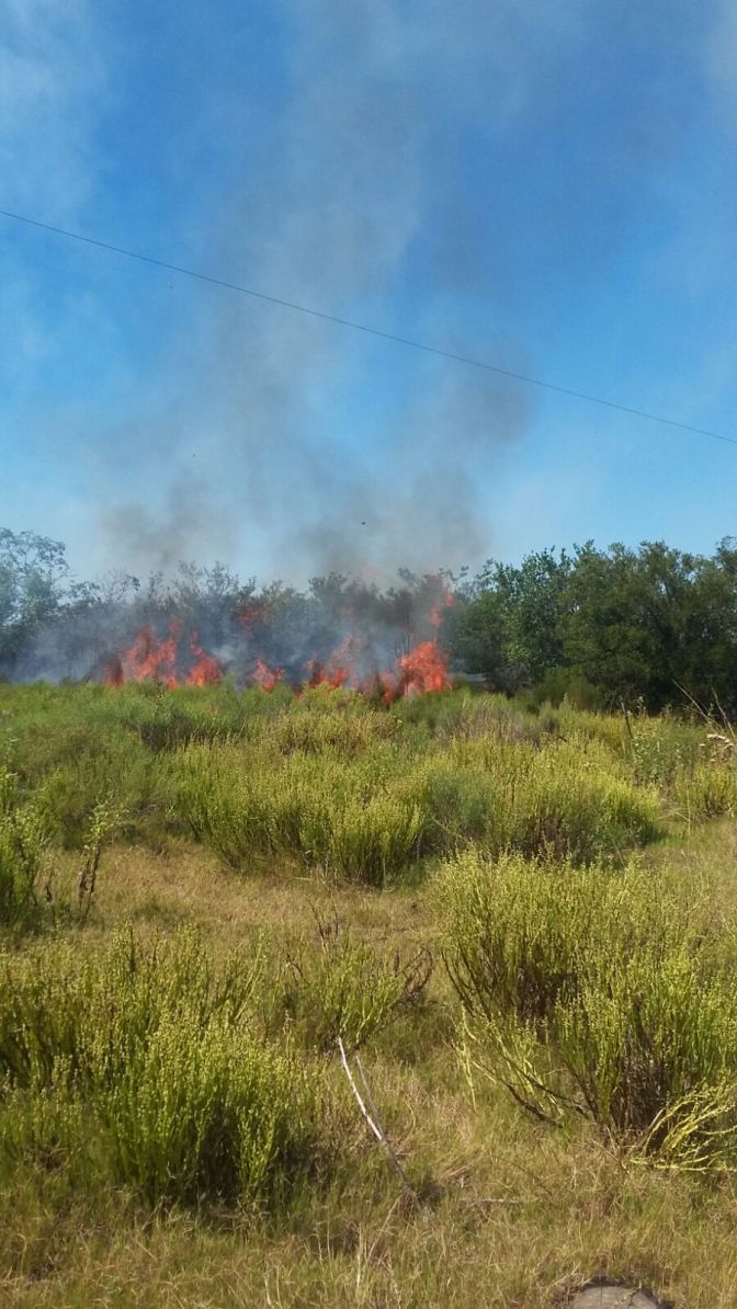 CBC26774-1E92-4426-9AAF-E92D826FDCF6