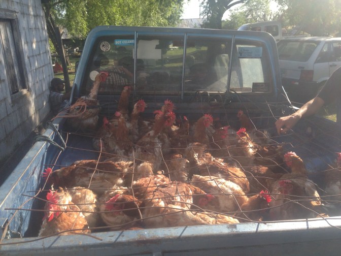 D32CA664-D23C-483B-8D4C-1A963518B60F