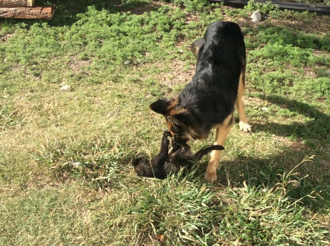 D75FDFC3-FBC6-440D-AC2A-488FACE2E920