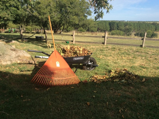 D906BCFE-35D1-454A-BFA8-9D586EE16DF6