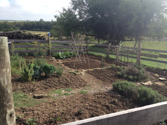 2D240290-F0D3-43C1-BF11-8FDC7D94E843