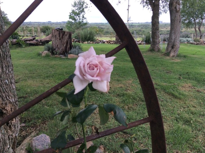 2E333F7A-FE4E-4A36-A0EC-9D8C2870CE16