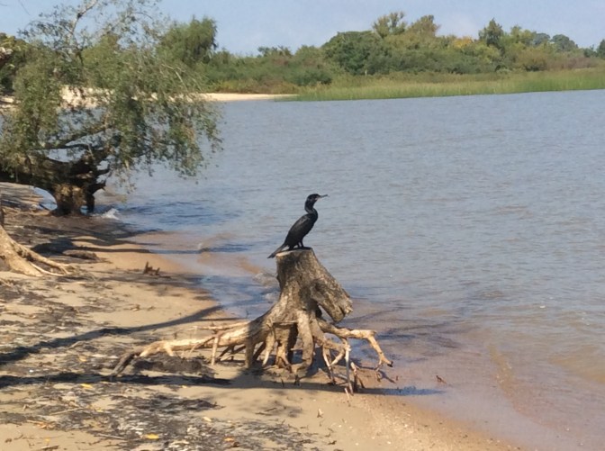 83288374-1C40-414C-8867-48F10F0B82DA