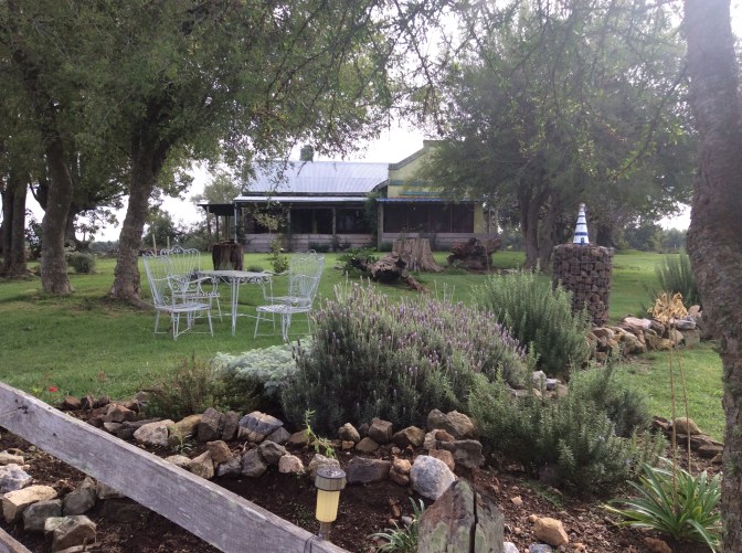 9A9F69FA-C23A-46CD-910A-C04D38EF98E4