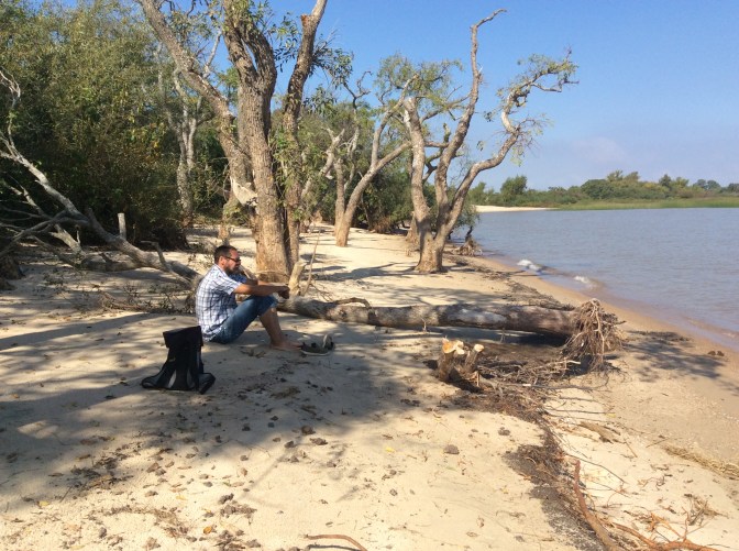 BC127BCD-6BEA-407A-A4EE-6A1A3C06849F