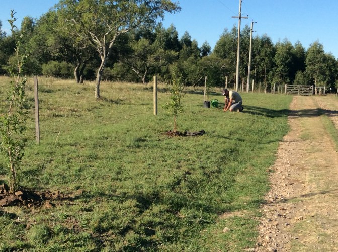 D8DE16AE-189B-4238-B859-BB968B5F3401