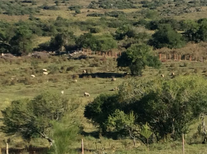 E3F01C15-3188-4C8D-AD5C-B584068F5DD8