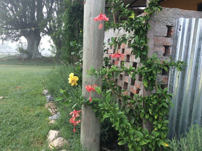 F5DE74BE-F734-41B1-AC84-AA822D056B0C