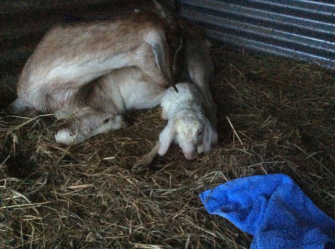 83B11135-290F-4FBD-92AD-516B22E51326