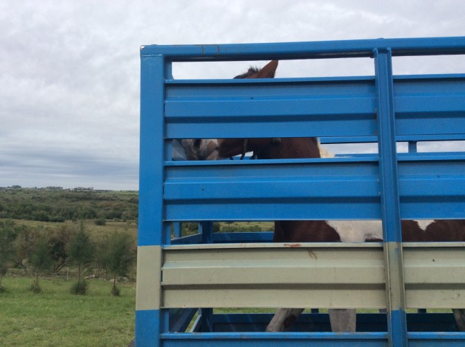 881EA9CC-1DA3-4DDE-802D-254355B87AA2