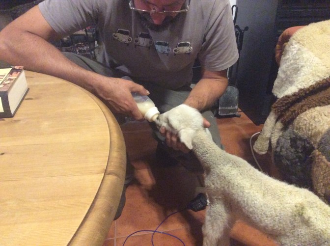 B28F8A8F-2EDB-428E-AA7F-EA3F4963820D