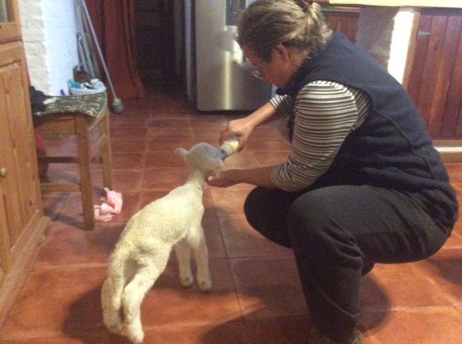 BB6247F1-2A50-4622-BB21-7F7E33AA14E6