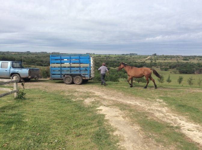 C75921E7-4BFA-4294-8084-953C39A2CA39