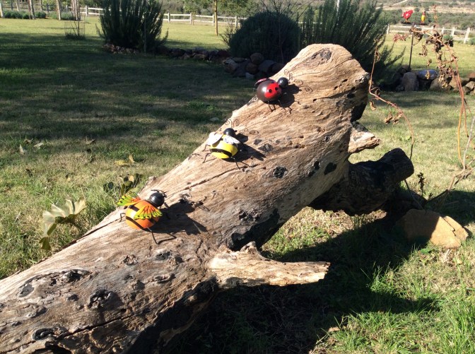 2C9FB0AF-F9DA-4A40-856F-91A291FC200A