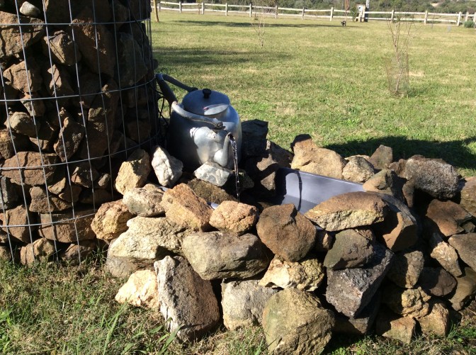 B0A0E4CF-8A0E-49DD-8431-F851F2A6763C